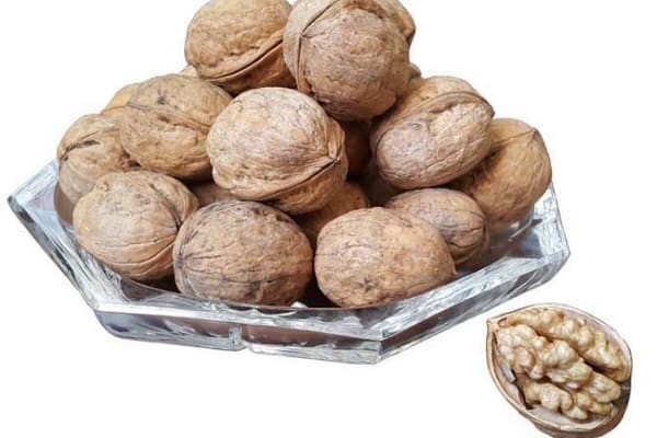 تصویر 2 از فروش گردو کاغذی ایرانی + قیمت خرید به صرفه